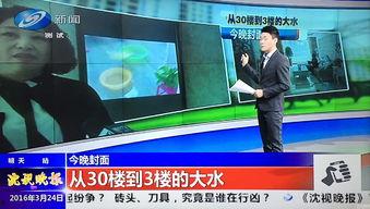 辽宁最新爆料消息新闻,揭秘重大事件背后真相