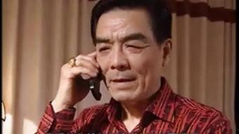 电视剧水中花全集在线播放,全集在线播放，揭秘情感纠葛与命运抉择