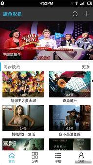 旗鱼影视在线播放,海量在线播放，畅享影视盛宴