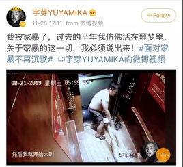 明星家庭暴力案件,揭开光鲜背后的阴影面