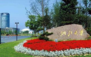 浙江大学杨树 老公