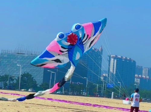 风筝在线观看,揭秘网络时代的情感纠葛与心灵救赎