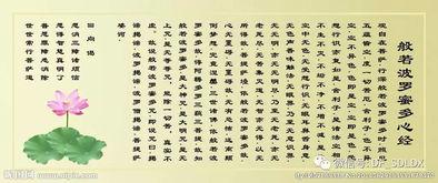 心经解读视频,揭秘心灵宁静之道