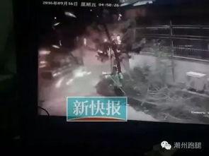 潮州精彩爆料事件始末视频,真相揭秘与网络舆论风暴