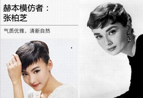 模仿三十多明星,三十多位明星风采再现，演绎璀璨人生