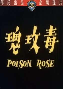 免费观看毒玫瑰,免费观看背后的秘密与诱惑