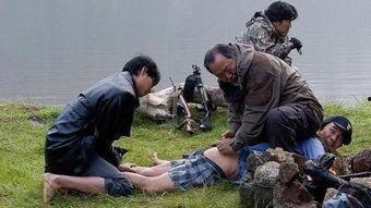 食人猪电影免费观看,免费观影，揭秘恐怖真相