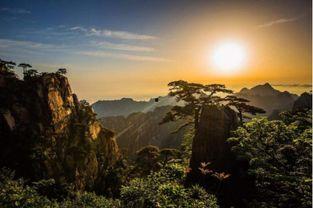 山1哪里可以免费观看