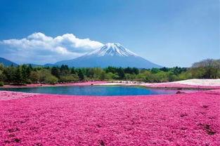 日本入云,探寻日本神秘的自然与文化魅力