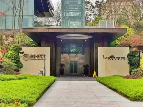 重庆梁女士最新爆料,揭秘事件背后惊人真相