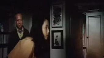 日本电影追捕bt,跨越国度的正义之战