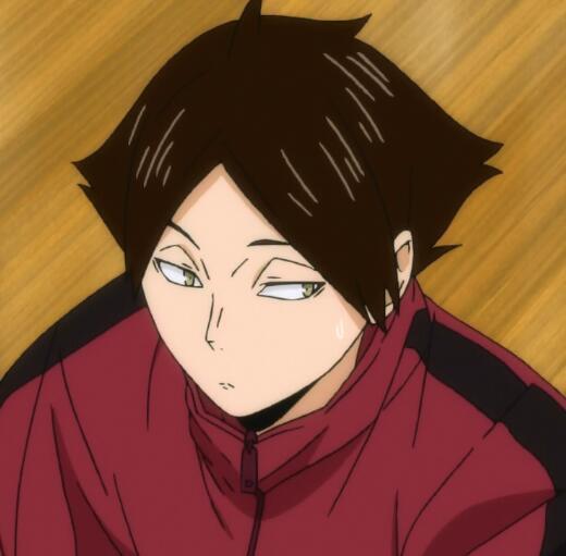 少日本年动画视频