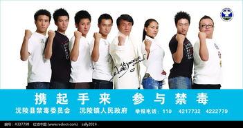 明星禁毒宣传视频下载,明星禁毒宣传视频深度解读