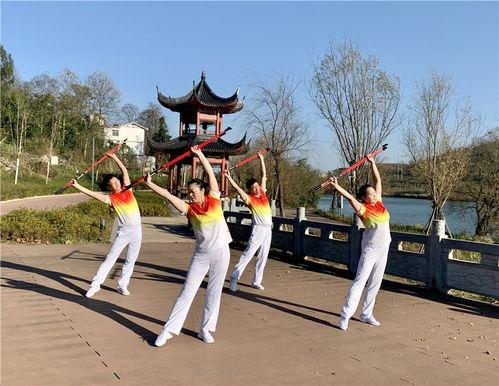 手杖操视频,轻松入门的居家健身指南