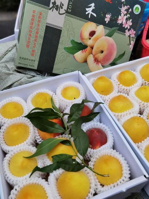 娱乐吃瓜作品怎么做