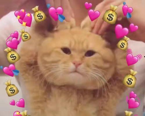 豚豚娱乐吃瓜小八卦