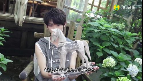 娱乐吃瓜酱时代峰峻,揭秘时代峰峻背后的风云变幻