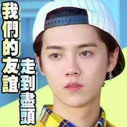 娱乐吃瓜主播真假对比图,揭秘娱乐吃瓜主播的神秘面纱