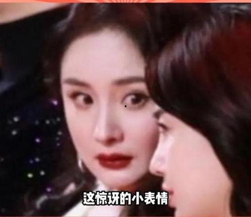 娱乐圈吃瓜不钓鱼